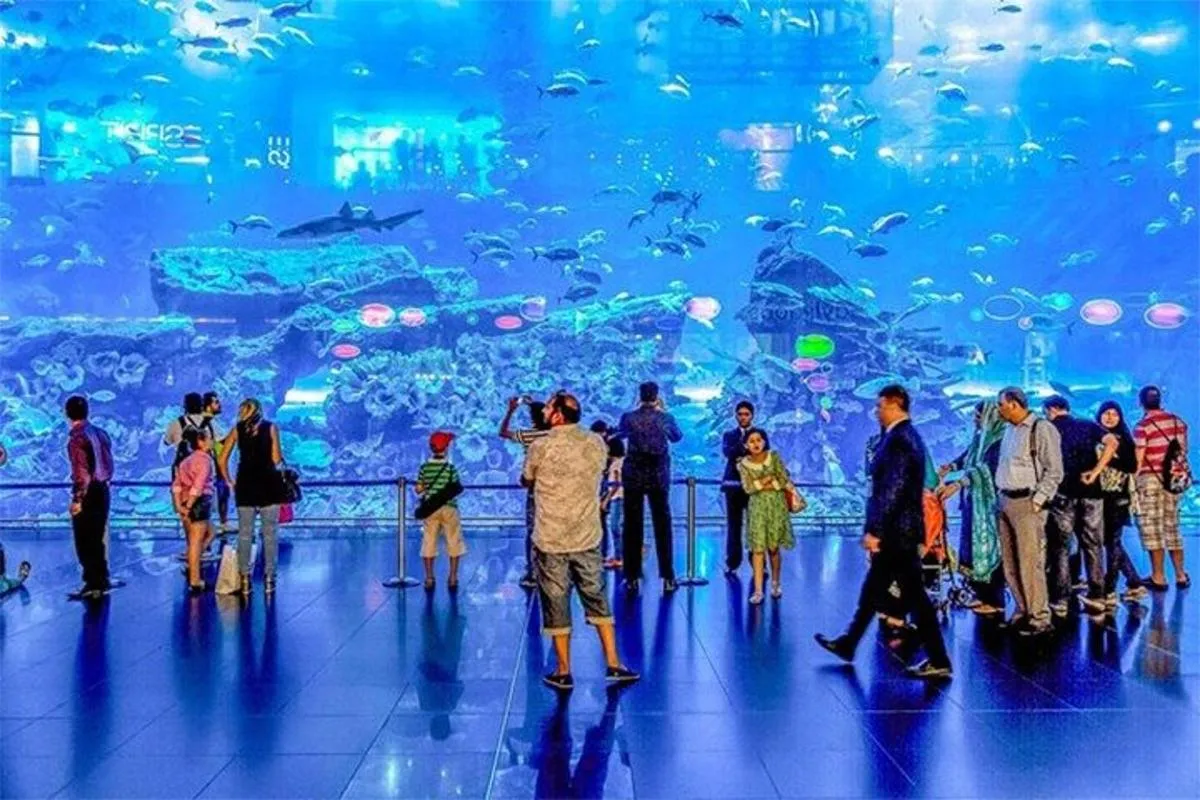 Image 3 of Dubai Aquarium and Underwater Zoo With Penguin
