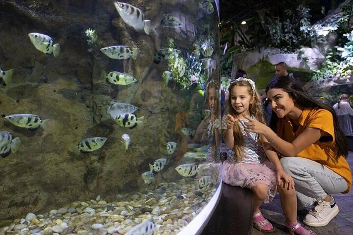 Image 6 of Dubai Aquarium and Underwater Zoo With Penguin