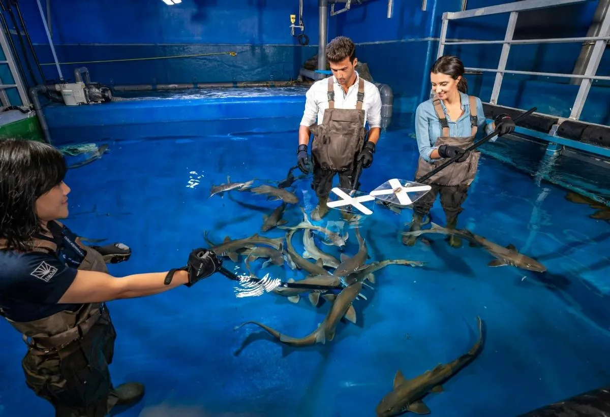Dubai Aquarium and Underwater Zoo with Boat Ride