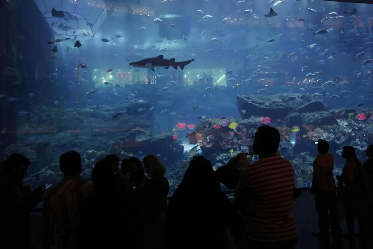 Image 1 of Dubai Aquarium and Underwater Zoo with Boat Ride