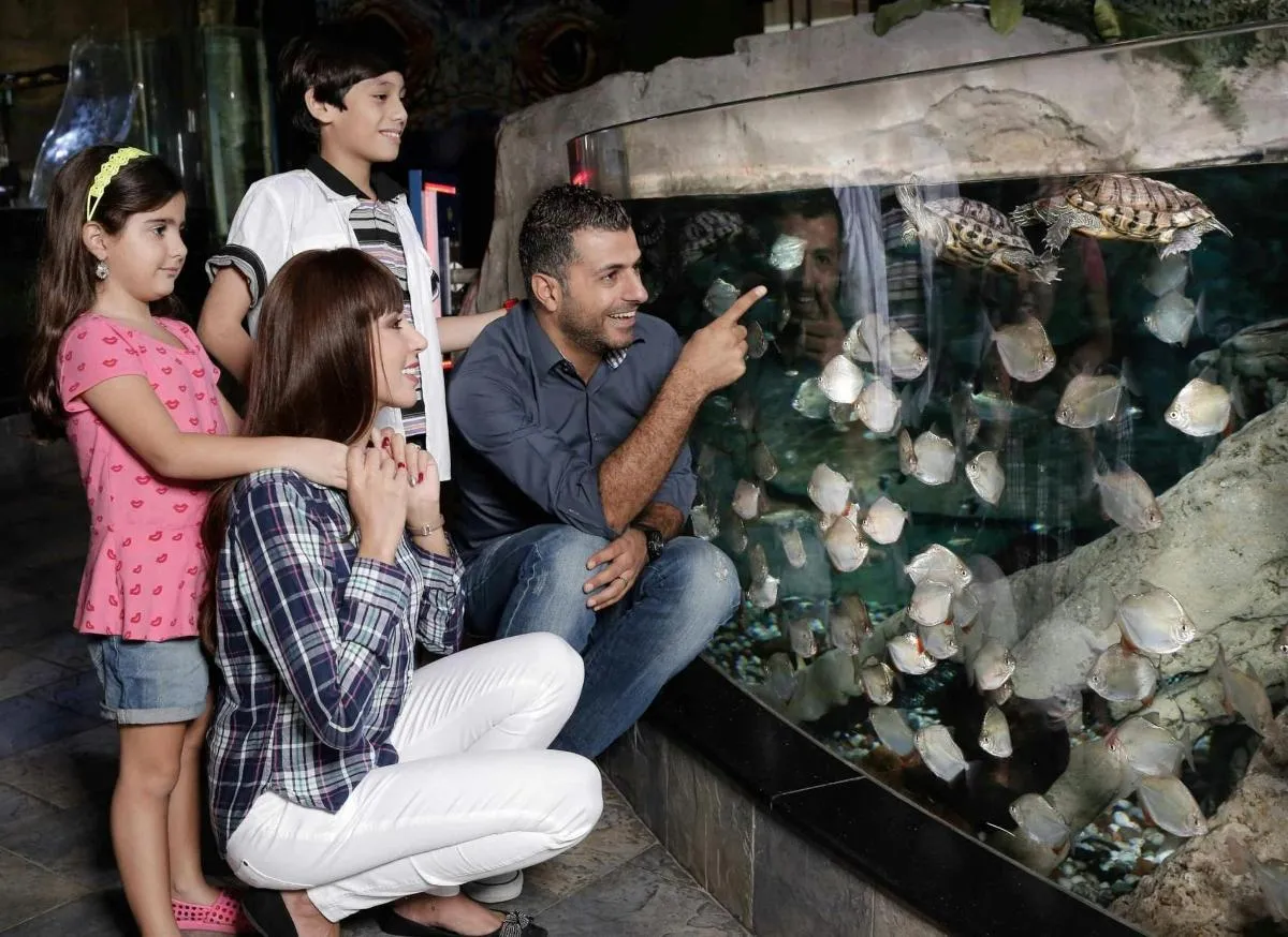 Image 4 of Dubai Aquarium and Underwater Zoo with Boat Ride