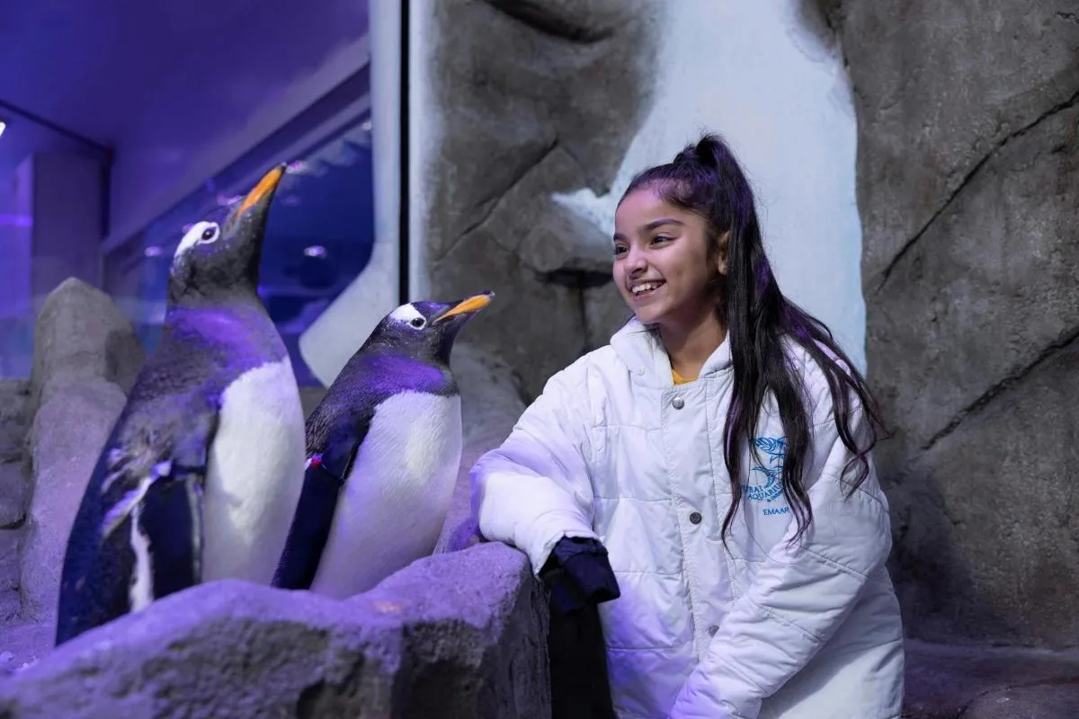 Image 6 of Dubai Aquarium and Underwater Zoo with Boat Ride