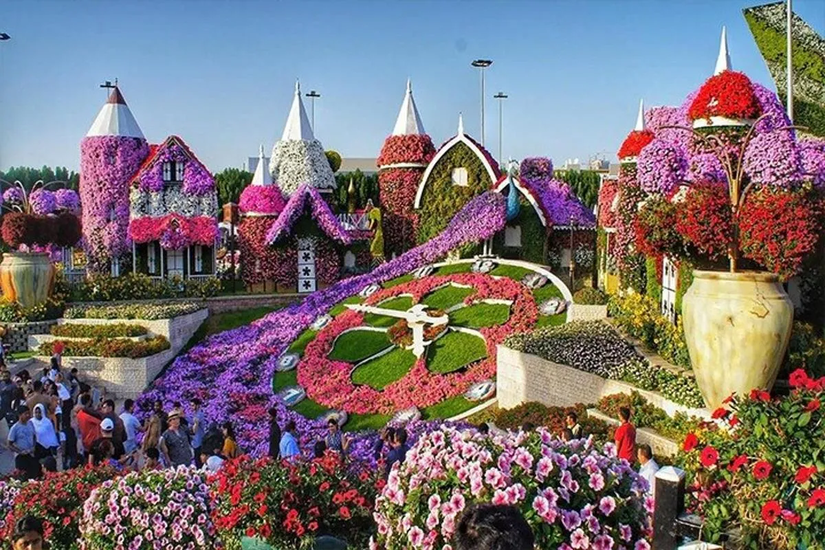 Image 4 of Dubai Butterfly Garden Skip-the-Line Tickets