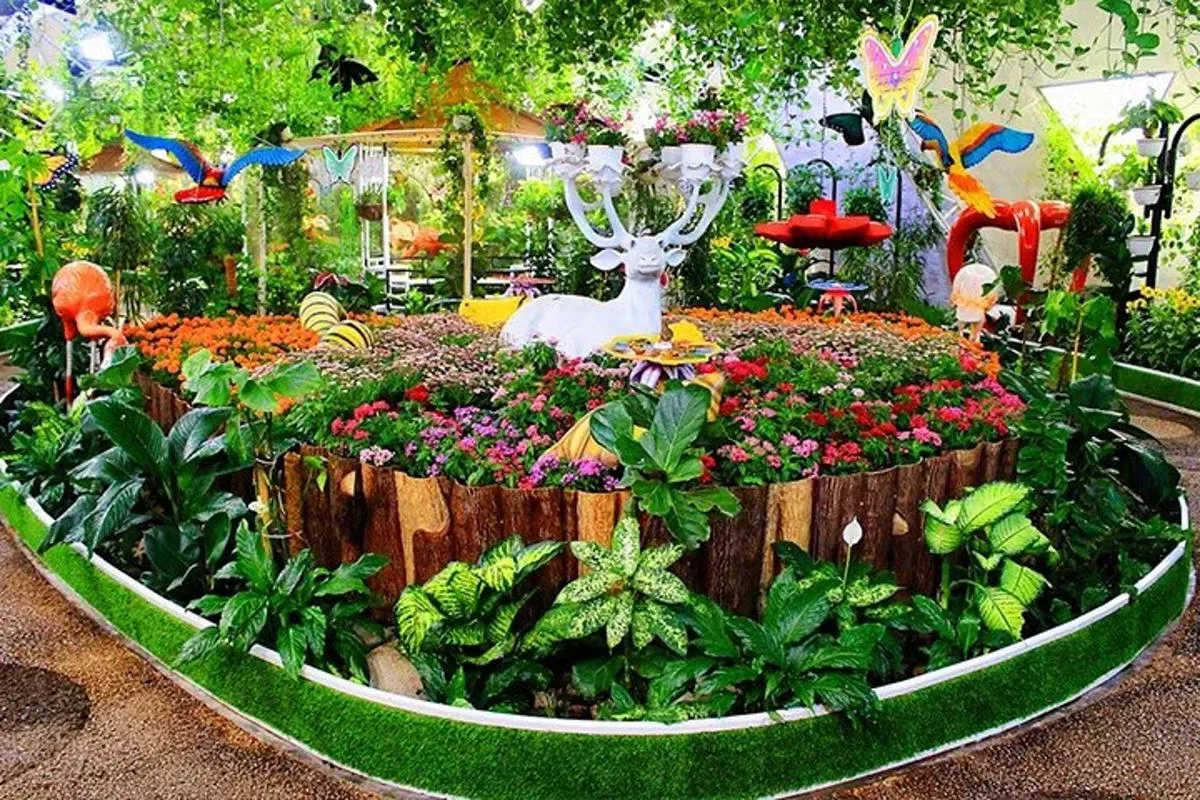 Image 6 of Dubai Butterfly Garden Skip-the-Line Tickets