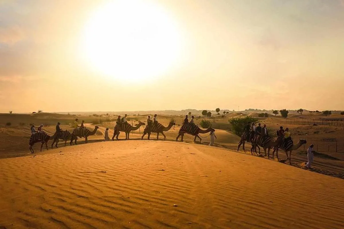 Image 1 of Dubai: Camel Safari & Horse Ride with Al Khayma Camp BBQ Dinner