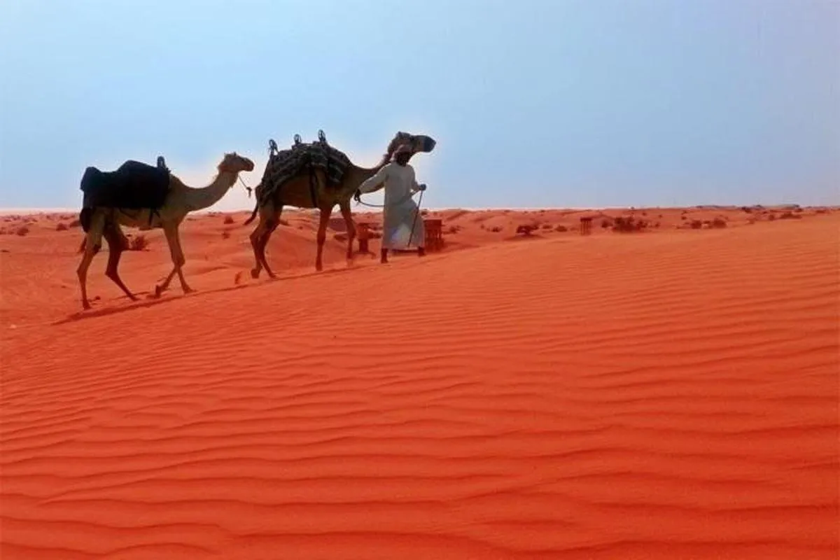 Image 1 of Dubai City Tour (Old & New) Desert Safari, BBQ, Camel Ride, Shows