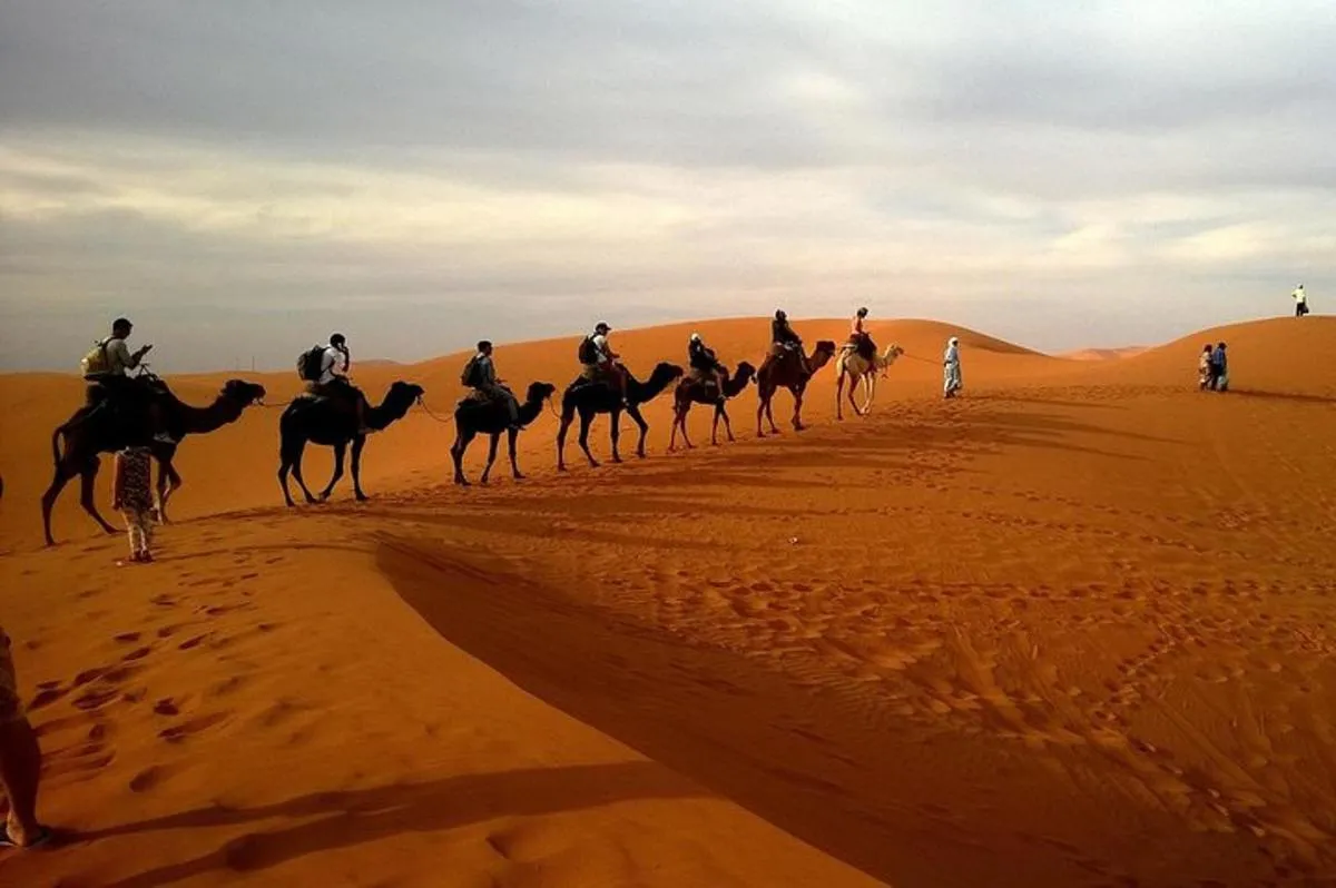 Image 2 of Dubai City Tour with Desert Safari, Camel Ride, Dune Bashing & BBQ