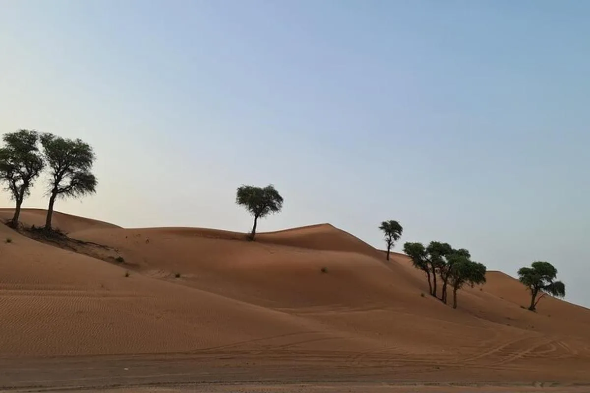 Image 4 of Dubai Desert 4×4 Dune Bashing, Self-Ride 30min ATV Quad, Camel Ride,Shows,Dinner