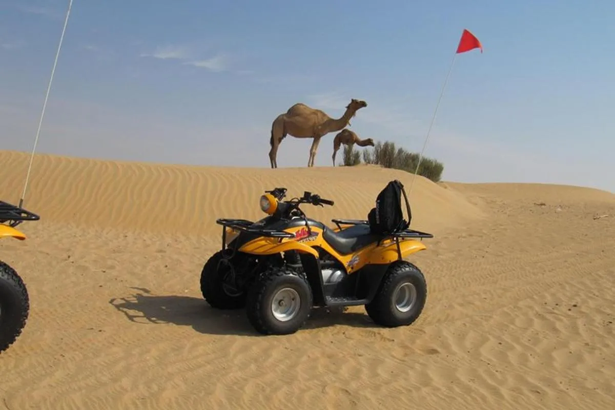 Image 4 of Dubai Desert Afternoon Quad Safari with Camel Ride, BBQ Dinner and Belly Dancing