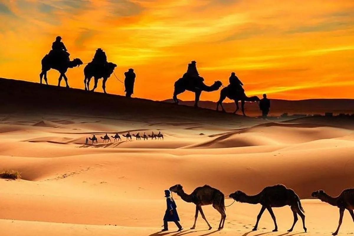 Image 3 of Dubai Desert Safari, ATV open desert, Camel ride, Shows & BBQ