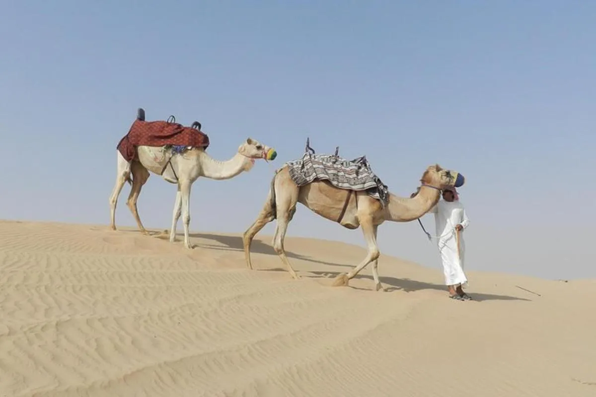 Image 6 of Dubai Desert Safari Dune Bashing, 60min ATV Quad, Camel Ride, BBQ