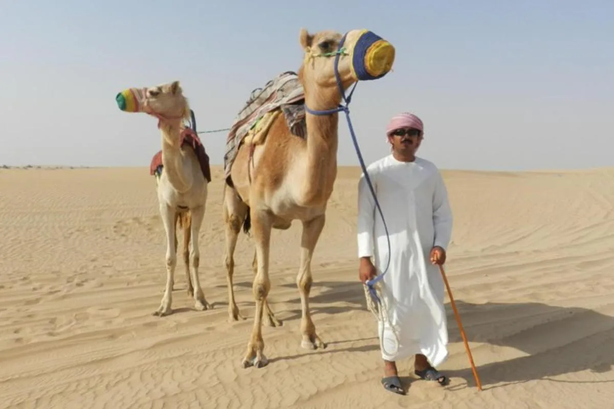Image 1 of Dubai Desert Safari with BBQ, 3 Shows & Camel Ride at Majlis Camp