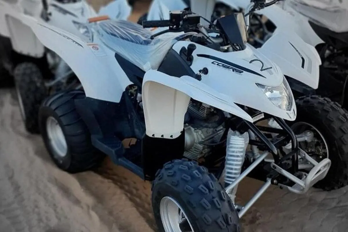 Image 1 of Dubai Desert Safari with Quad Bike, Camel Ride, Dinner and Shows