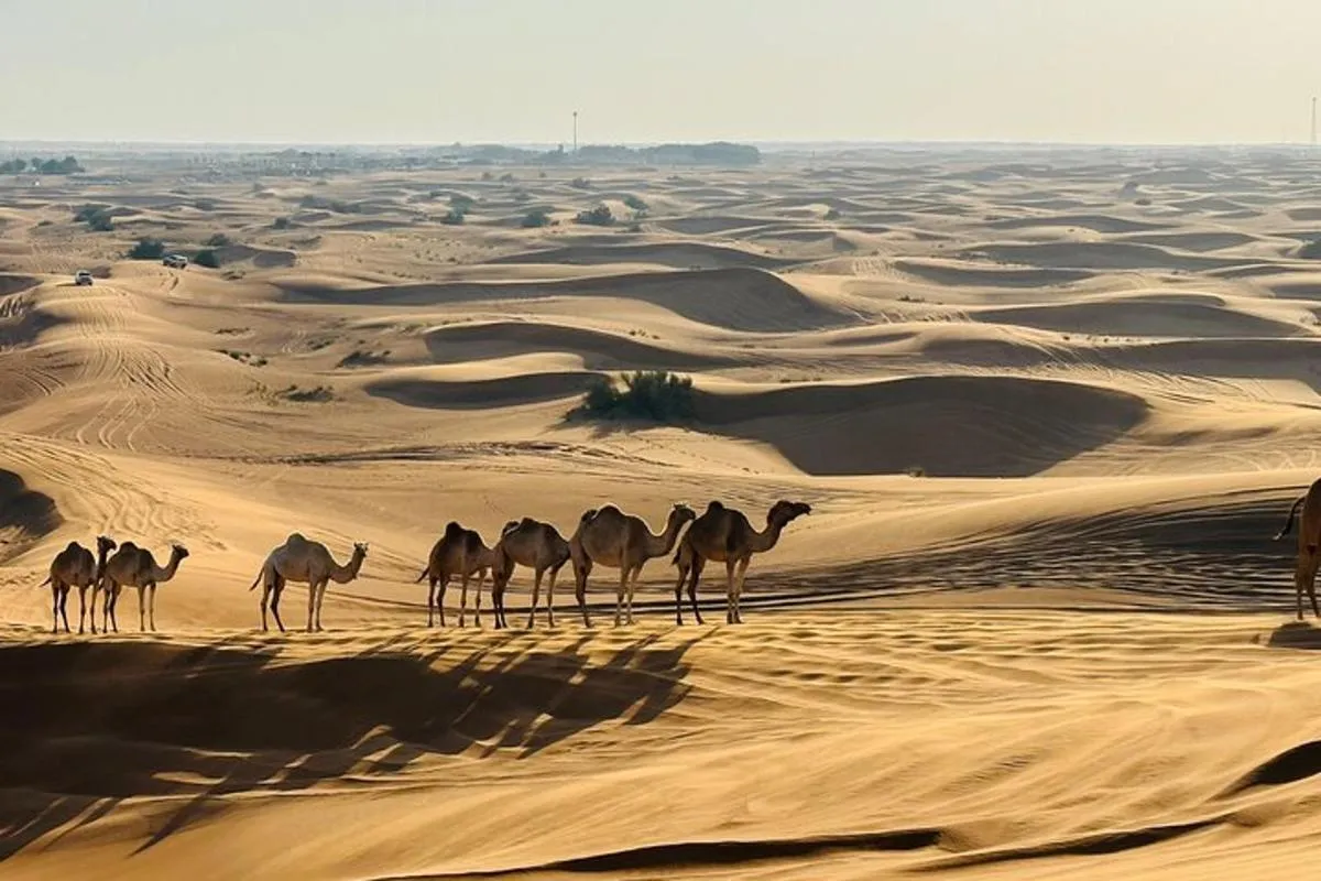 Image 3 of Dubai Desert Sunrise with Dune Bashing & Camel Ride
