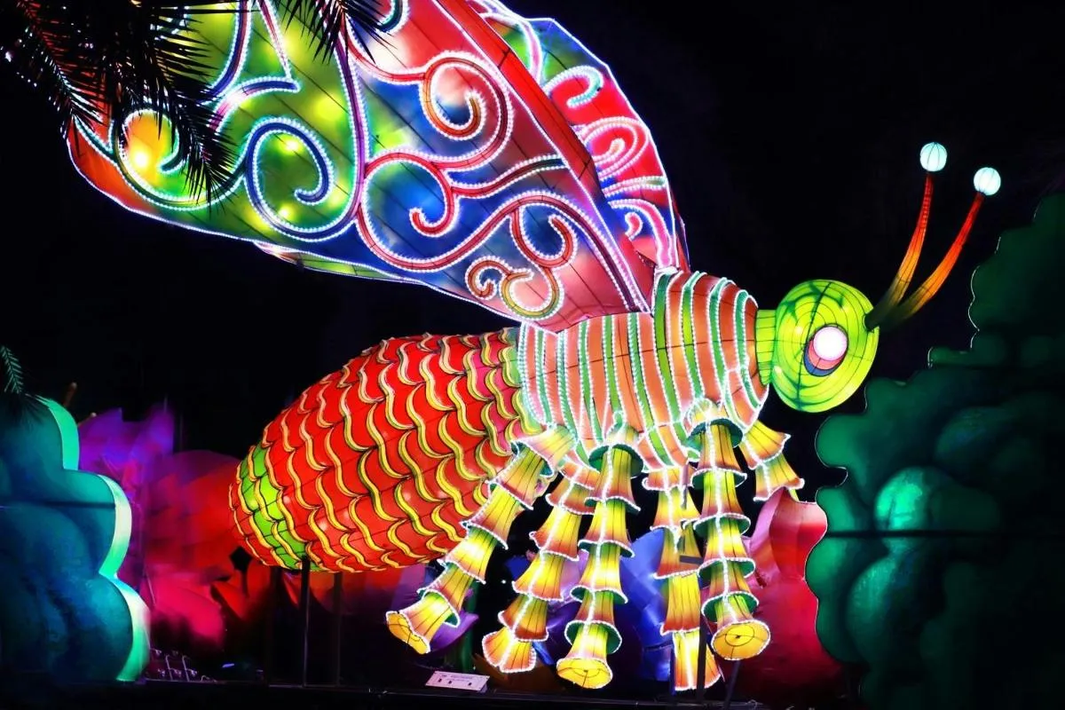 Image 2 of Dubai Garden Glow