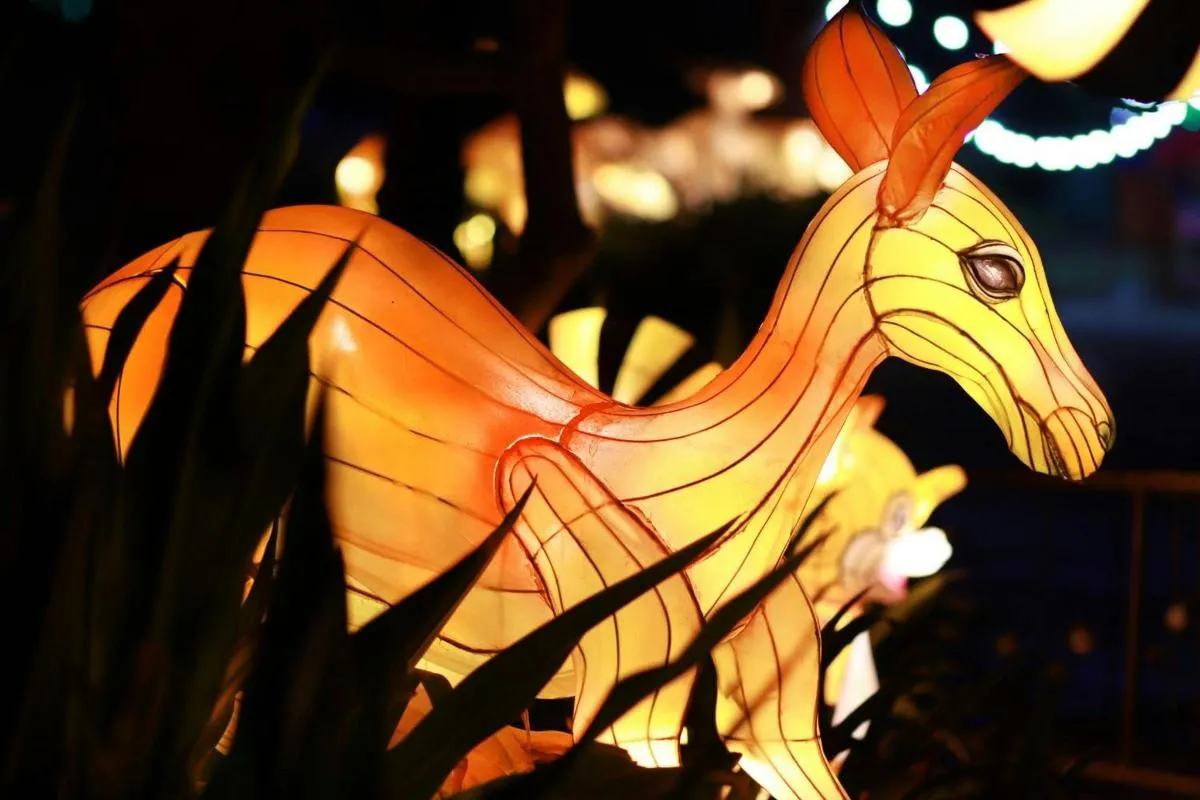 Image 3 of Dubai Garden Glow