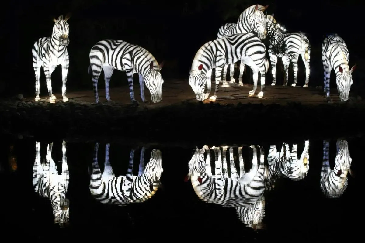 Image 4 of Dubai Garden Glow