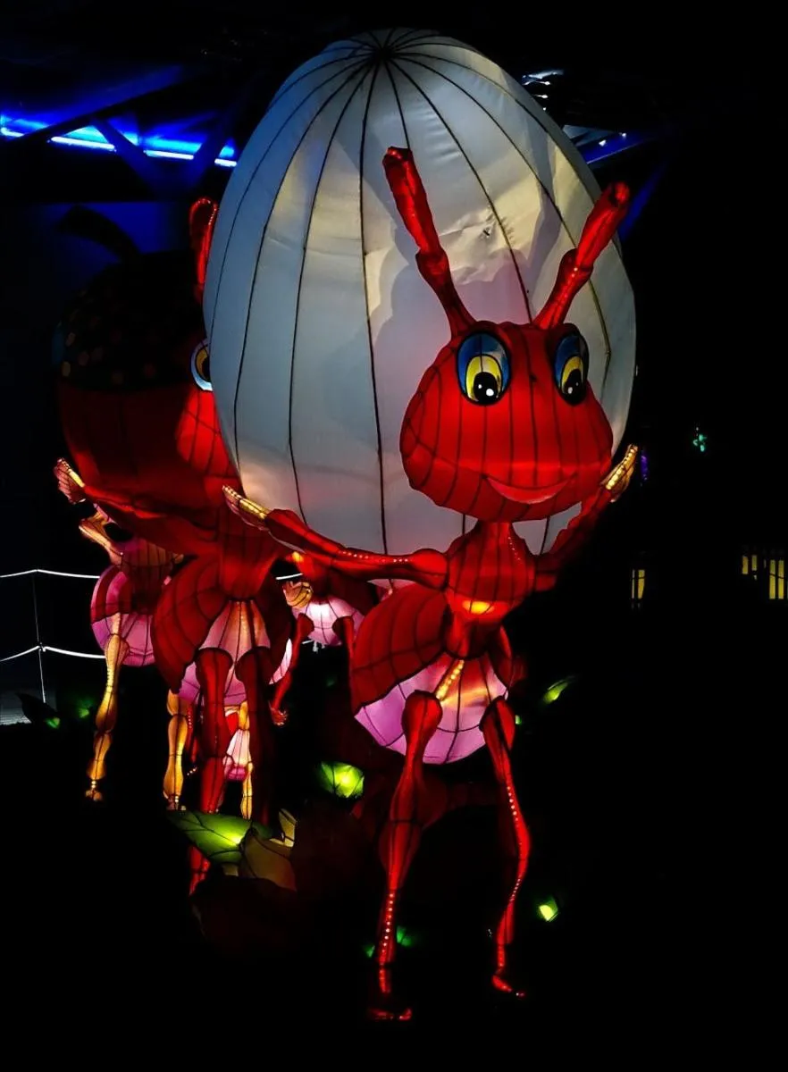Image 2 of Dubai Garden Glow Admission and Transfer