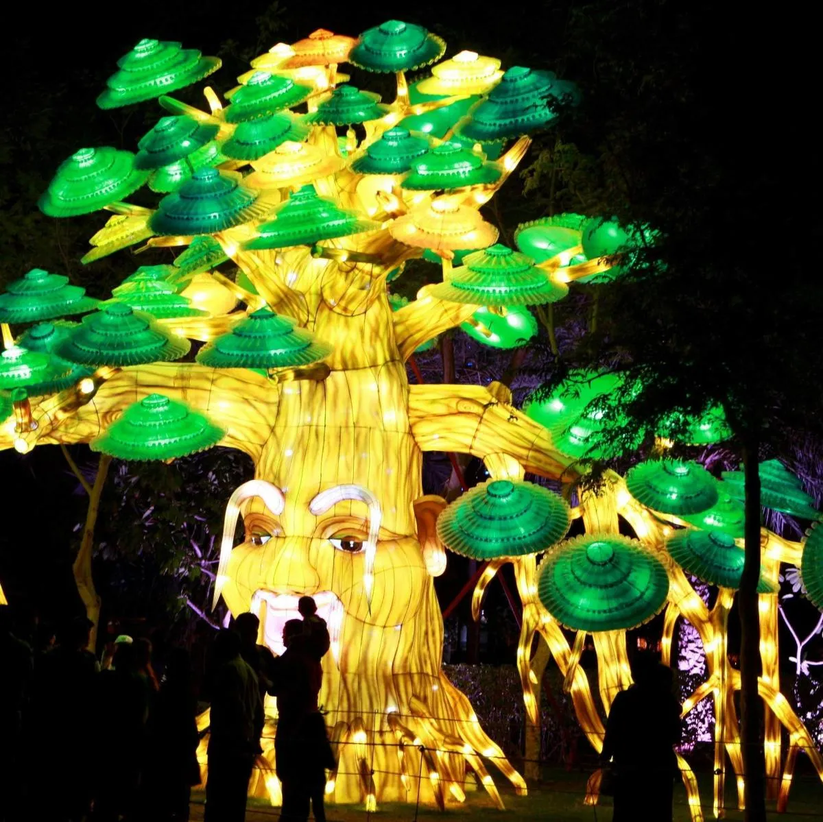 Image 5 of Dubai Garden Glow Admission and Transfer