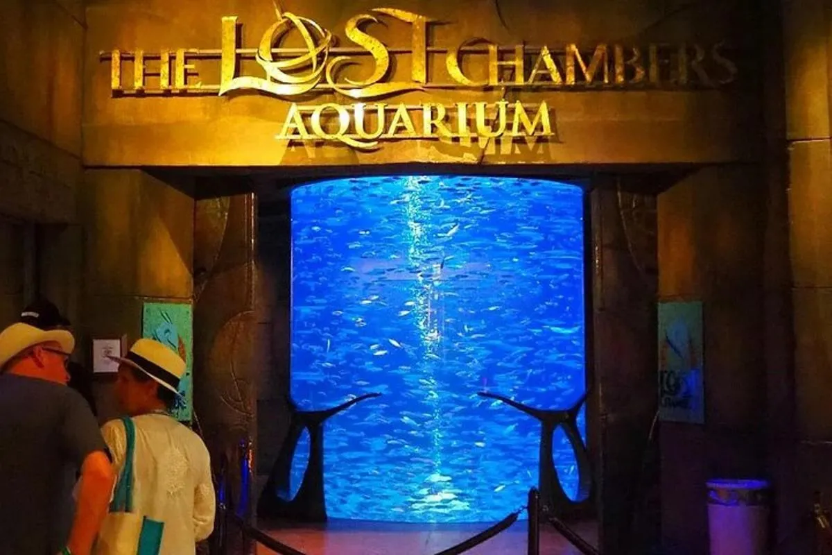 Image 3 of Dubai Lost Chambers Aquarium Admission E-Ticket
