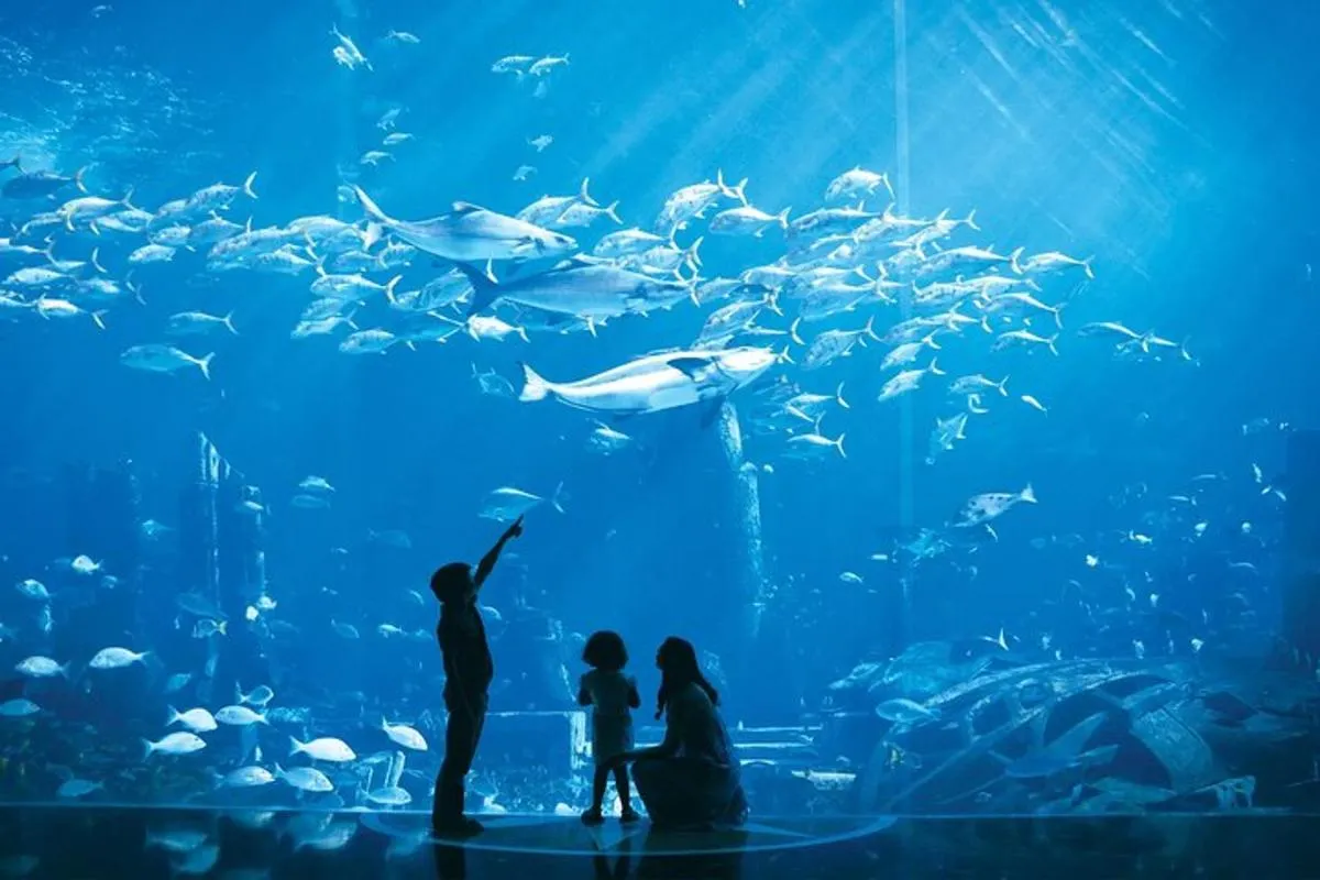 Image 4 of Dubai Lost Chambers Aquarium Admission E-Ticket