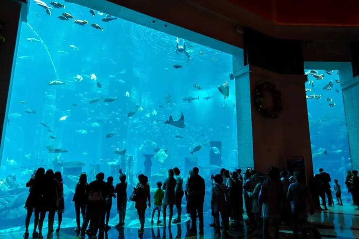 Image 5 of Dubai Lost Chambers Aquarium Admission E-Ticket