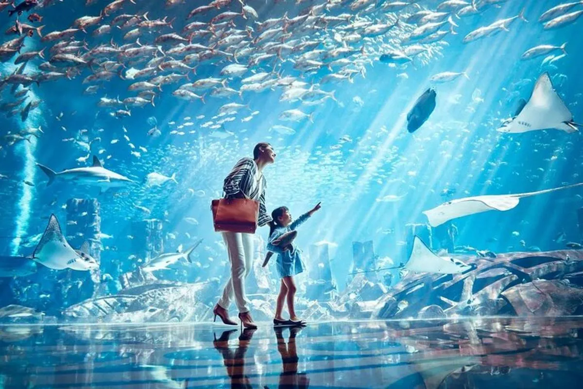 Image 6 of Dubai Lost Chambers Aquarium Admission E-Ticket