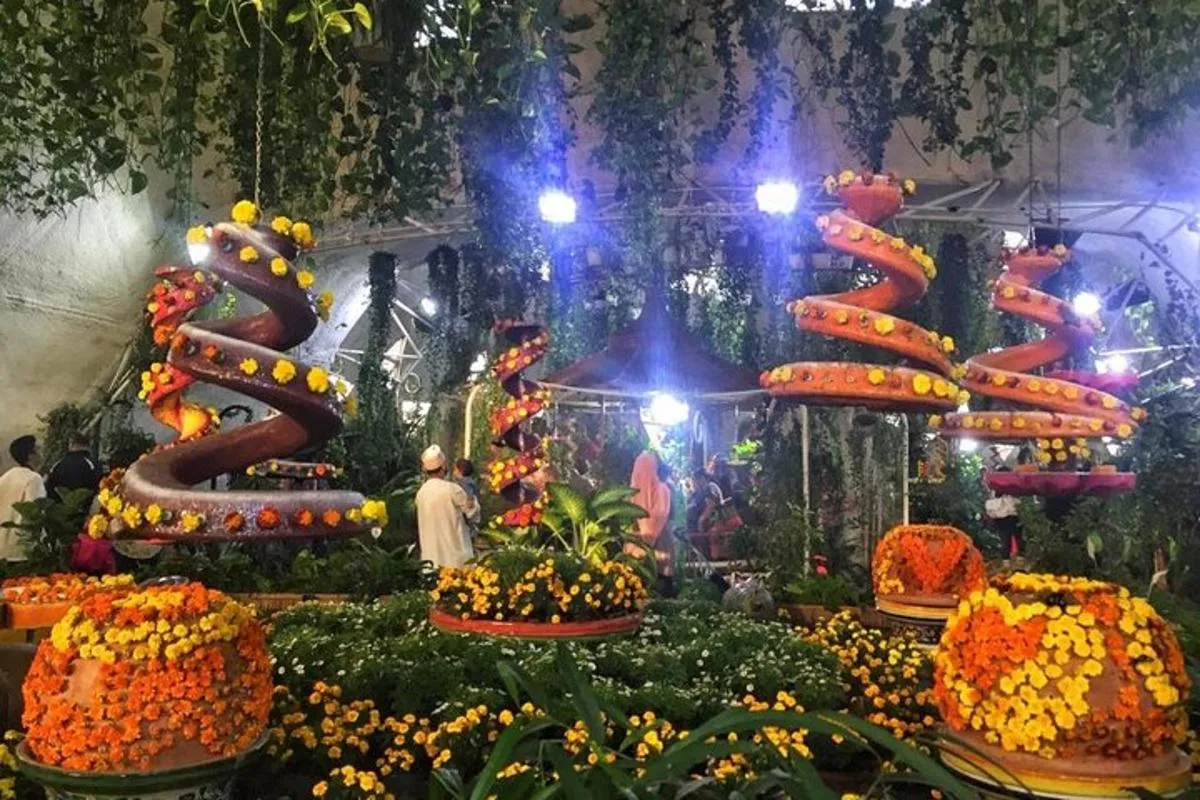 Image 1 of Dubai Miracle & Butterfly Garden Tour with private round trip transfers
