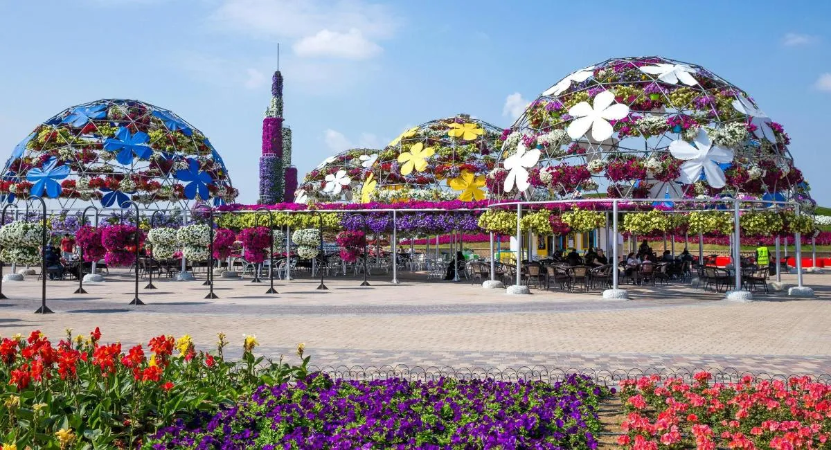Image 0 of Dubai Miracle Garden Admission