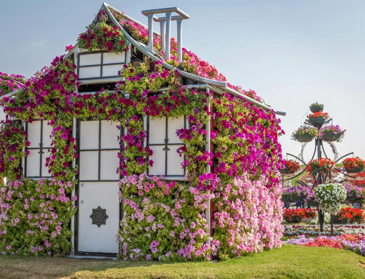 Image 1 of Dubai Miracle Garden Admission