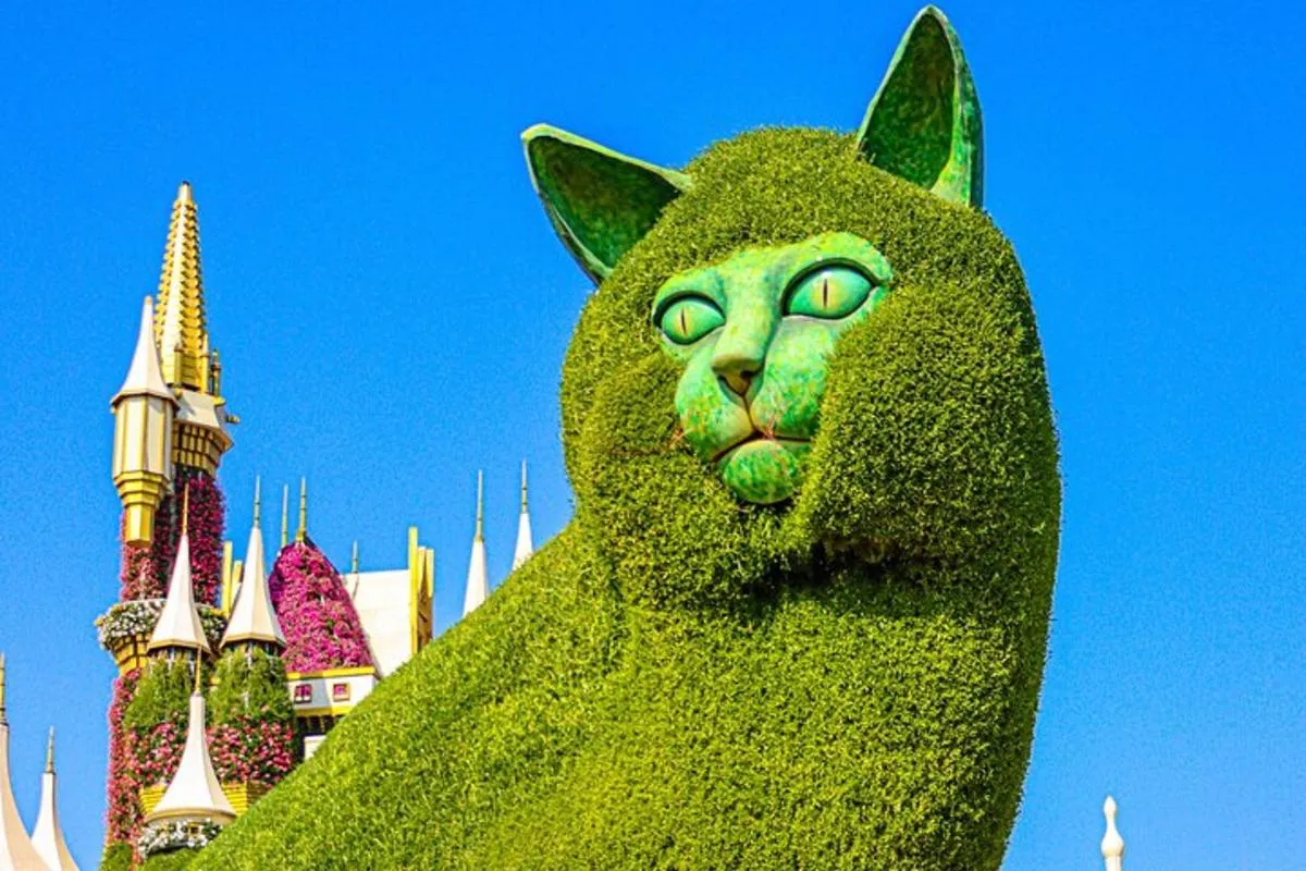 Image 6 of Dubai Miracle Garden Admission Ticket with Hotel Transfer
