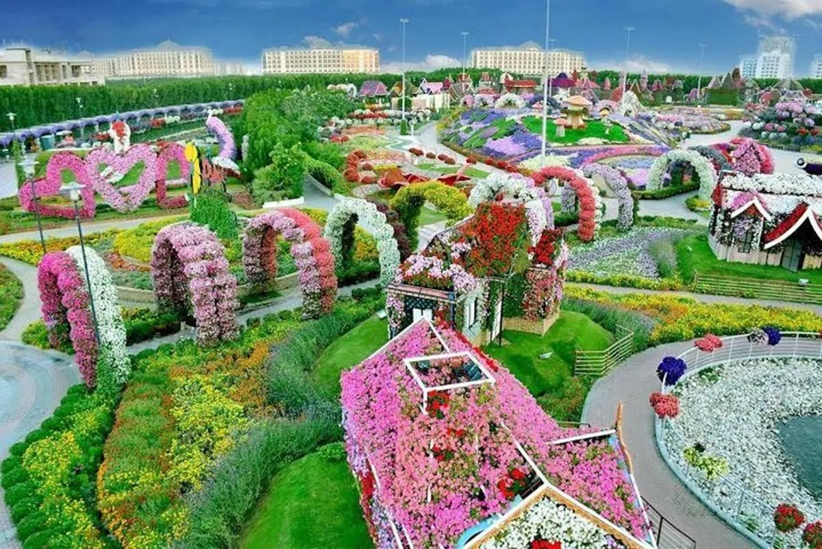 Image 0 of Dubai Miracle Garden Admission with Transportation