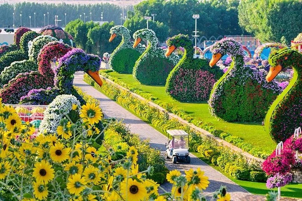 Image 1 of Dubai Miracle Garden Entry Tickets
