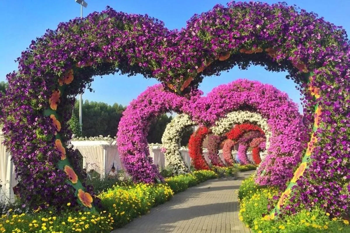Image 3 of Dubai Miracle Garden Entry Tickets