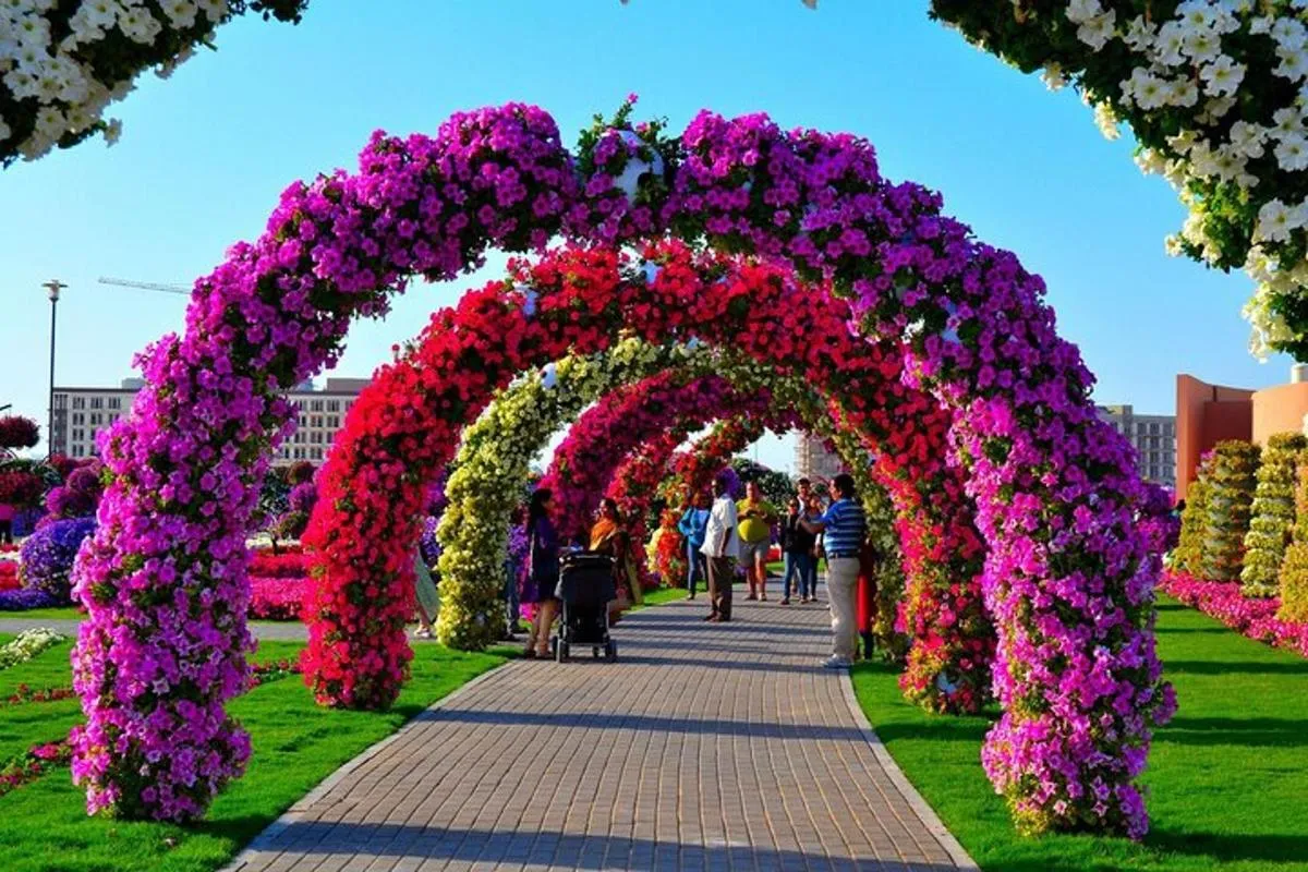 Image 4 of Dubai Miracle Garden Entry Tickets