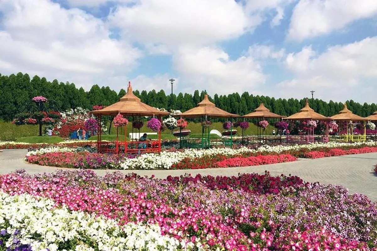 Image 2 of Dubai Miracle Garden Self-Guided Tour with Ticket with Transfer