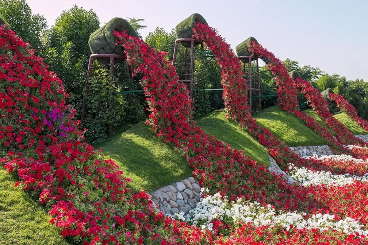 Image 4 of Dubai Miracle Garden Self-Guided Tour with Ticket with Transfer
