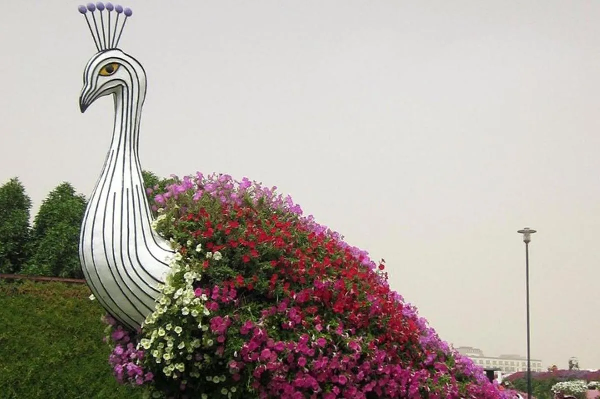 Image 6 of Dubai Miracle Garden Self-Guided Tour with Ticket with Transfer