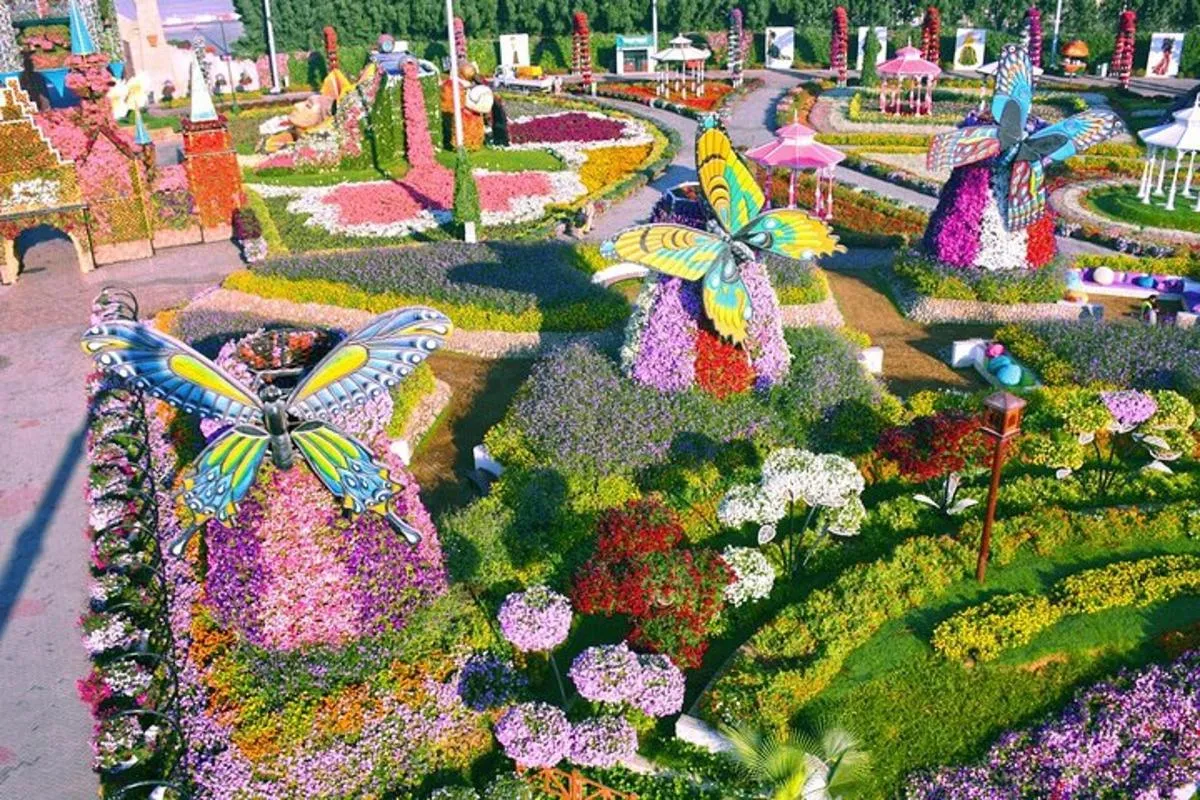 Image 2 of Dubai Miracle Garden Ticket with Transfer