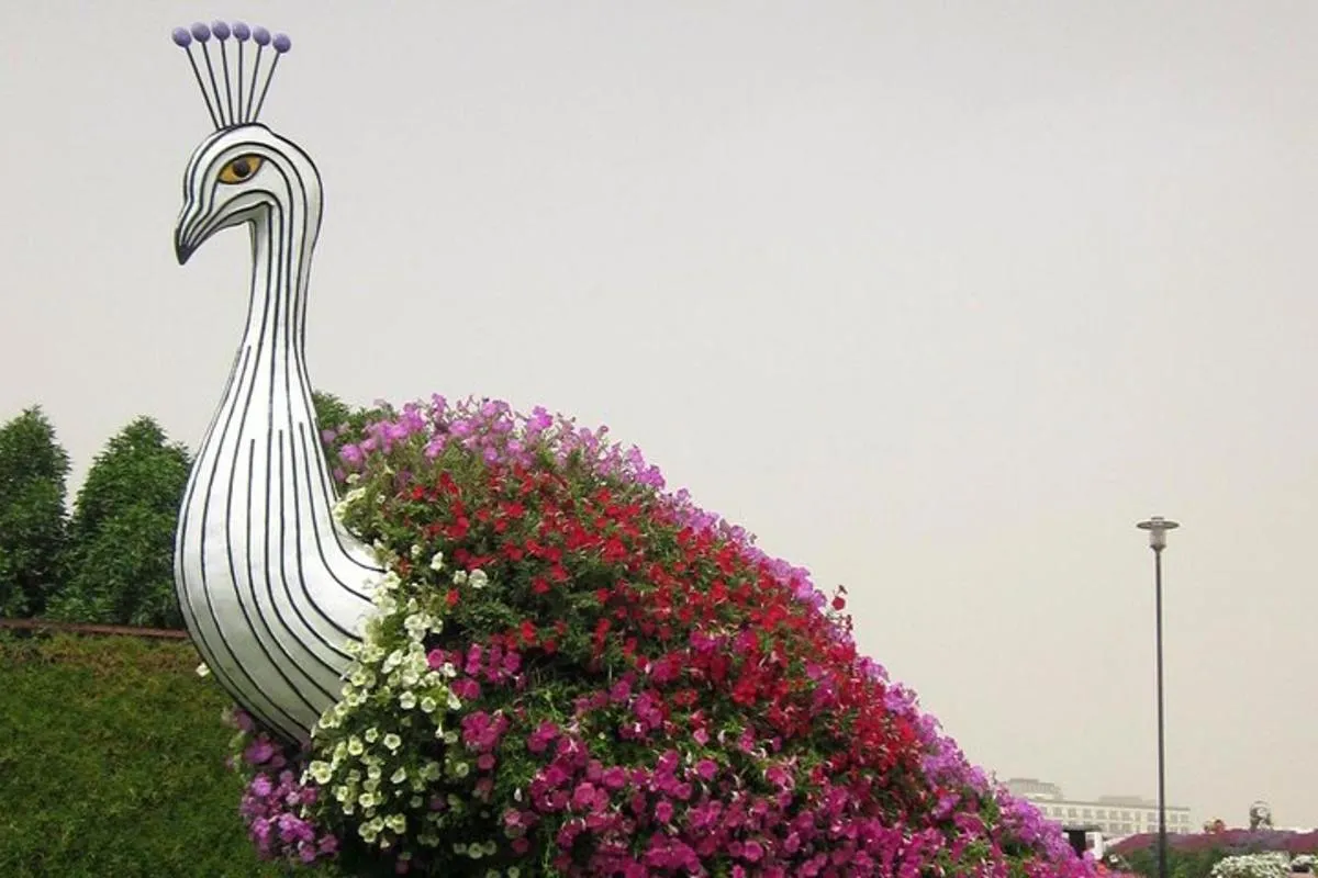 Image 3 of Dubai Miracle Garden Ticket with Transfer