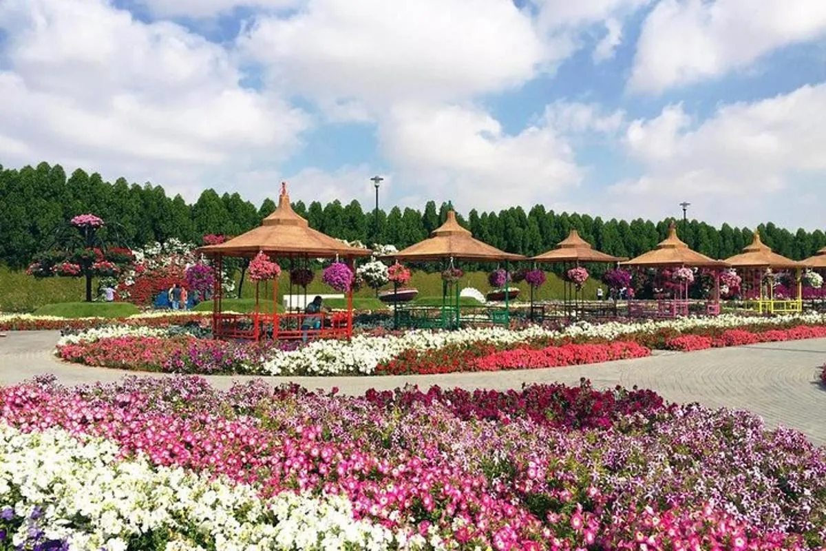 Image 5 of Dubai Miracle Garden Ticket with Transfer