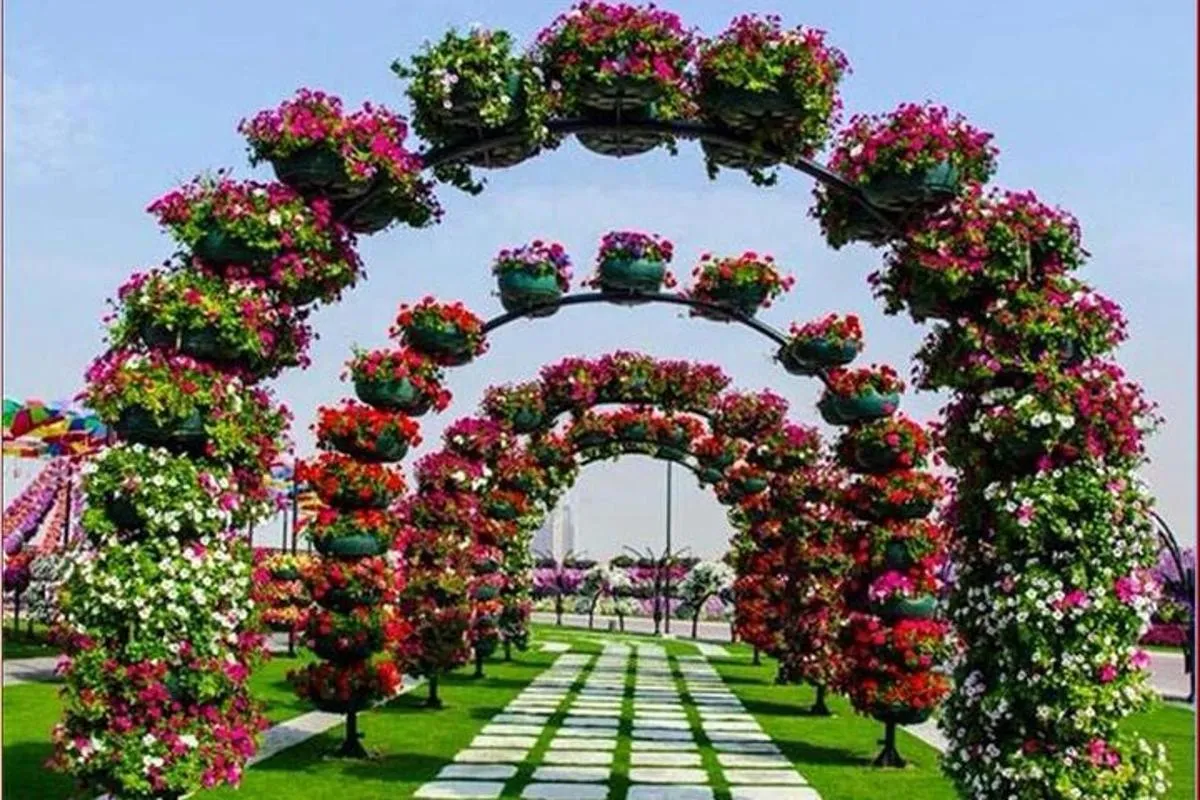 Image 6 of Dubai Miracle Garden Ticket with Transfer