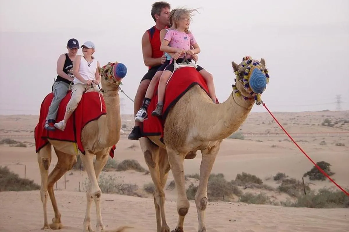 Image 3 of Dubai: Morning Desert Safari with Camel Ride and Sand boarding