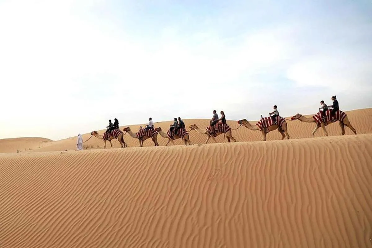 Image 2 of Dubai Morning Red Dunes with Camel Safari & Sandsurf