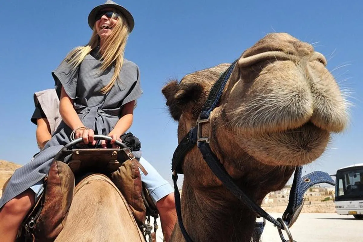 Image 4 of Dubai Morning Red Dunes with Camel Safari & Sandsurf