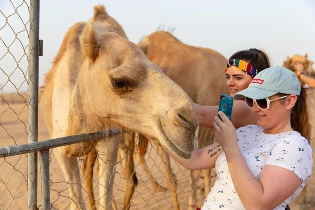 Image 5 of Dubai Premium Desert Safari with BBQ Dinner in Red Dunes