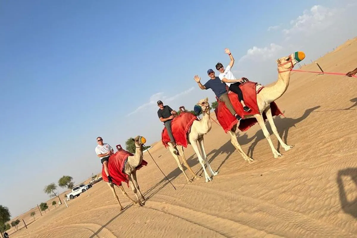 Image 4 of Dubai: Red Dunes Desert Safari, Camel Ride, Shows & BBQ Dinner