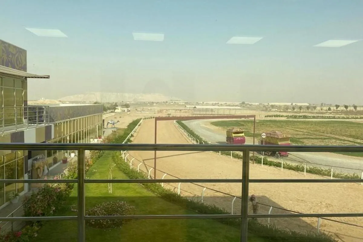 Image 3 of Dubai Royal Camel Race with Prime Seats & Short Camel Ride