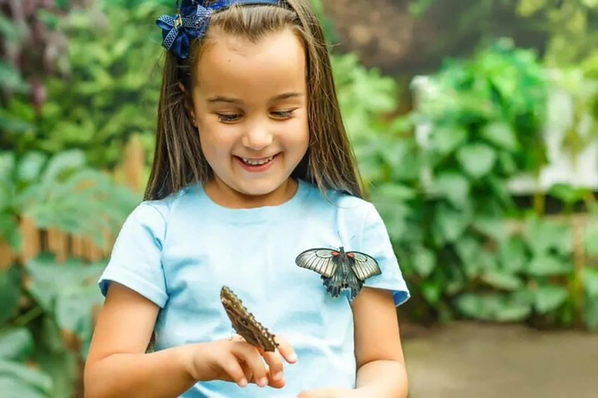 Image 4 of Dubai: Skip-The-Line Ticket to Butterfly Garden