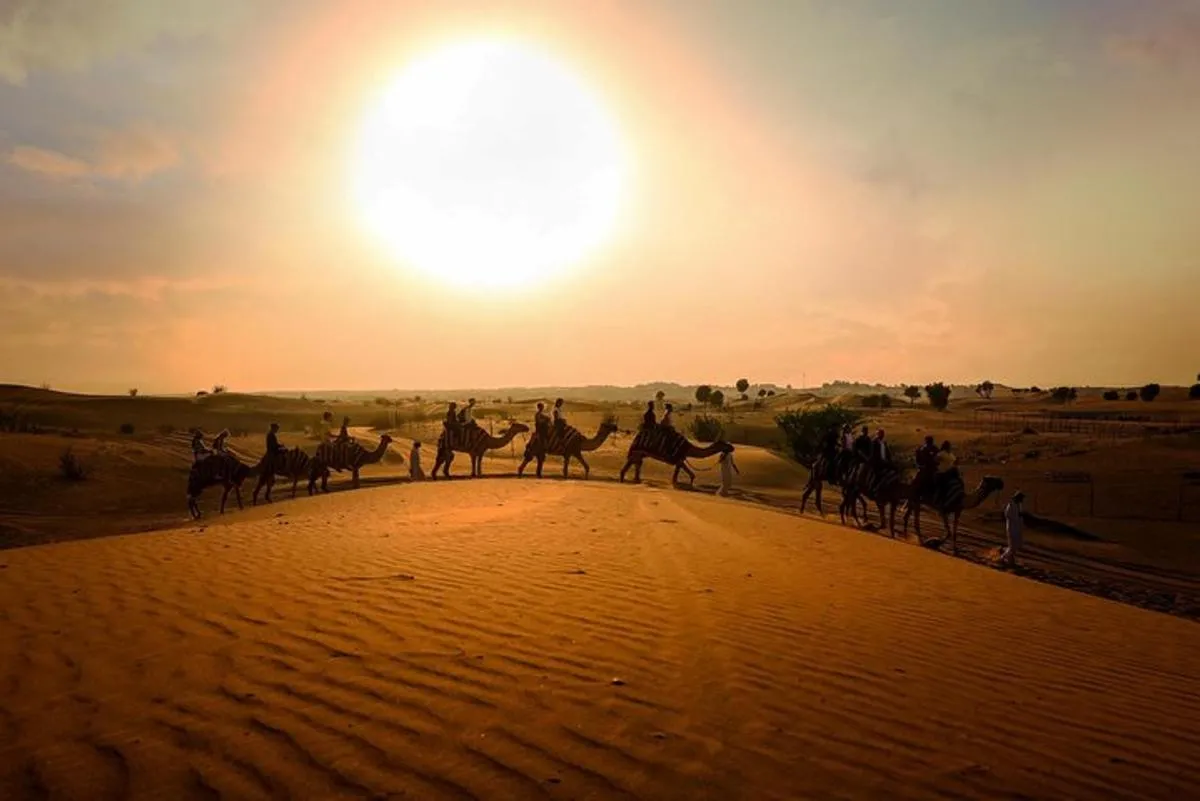 Image 0 of Dubai Sunset Camel Trekking With BBQ Dinner